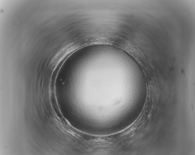 X0000060770290200511141304