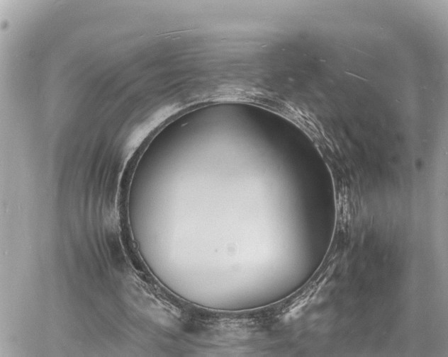 X0000060770292200511141304