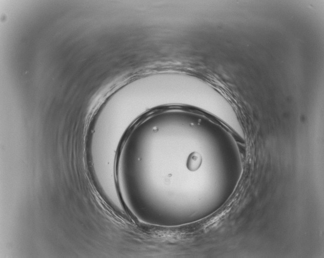 X0000060770293200511141304