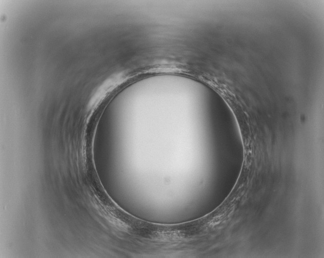 X0000060770296200511141304