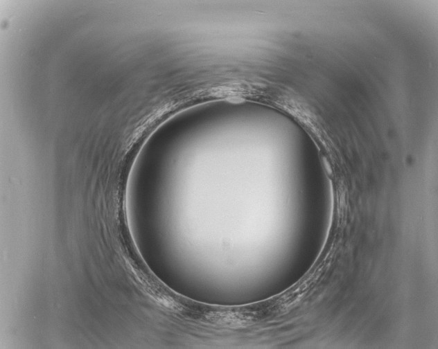 X0000060770297200511141304