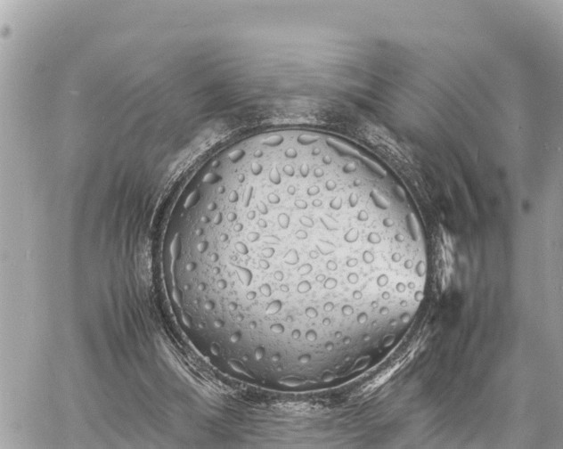 X0000060770298200511141304