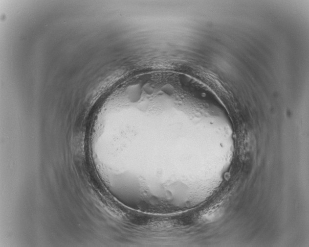 X0000060770299200511141304