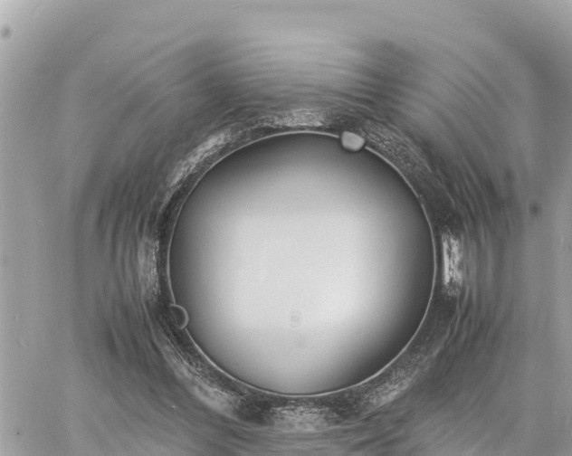 X0000060770300200511141304