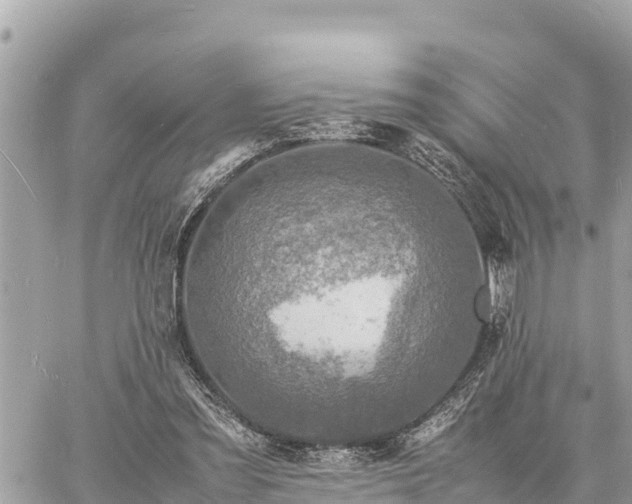 X0000060770301200511141304