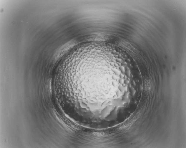 X0000060770302200511141304