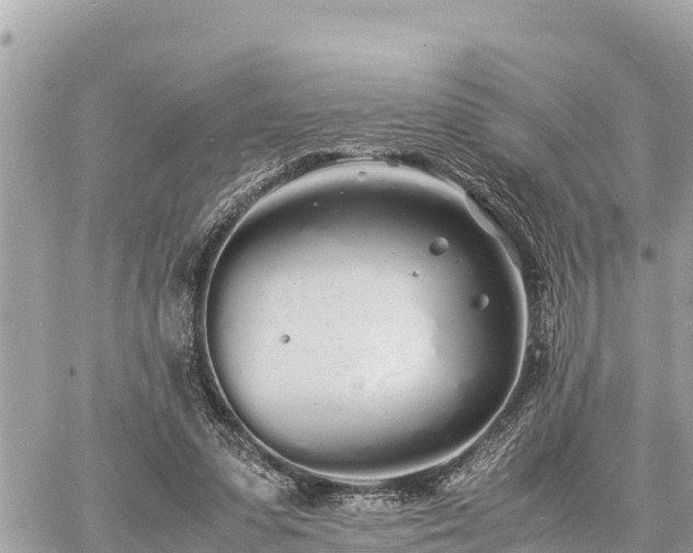 X0000060770303200511141304