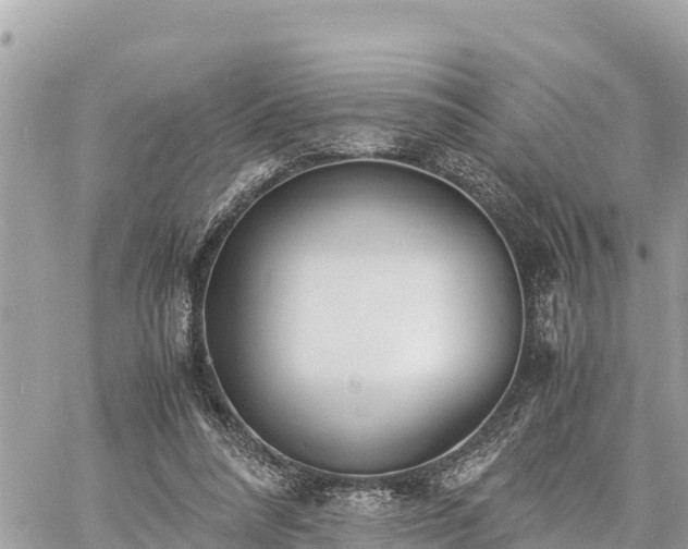 X0000060770304200511141304