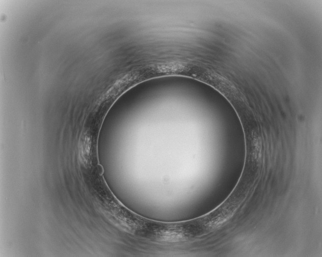 X0000060770308200511141304