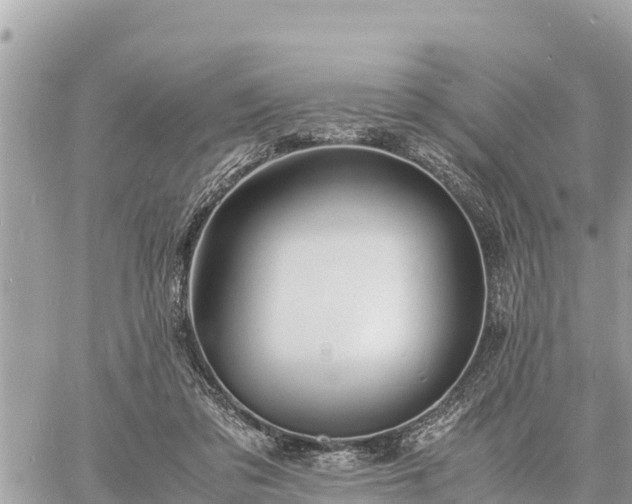 X0000060770309200511141304