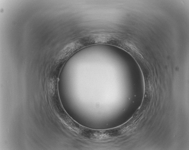 X0000060770311200511141304