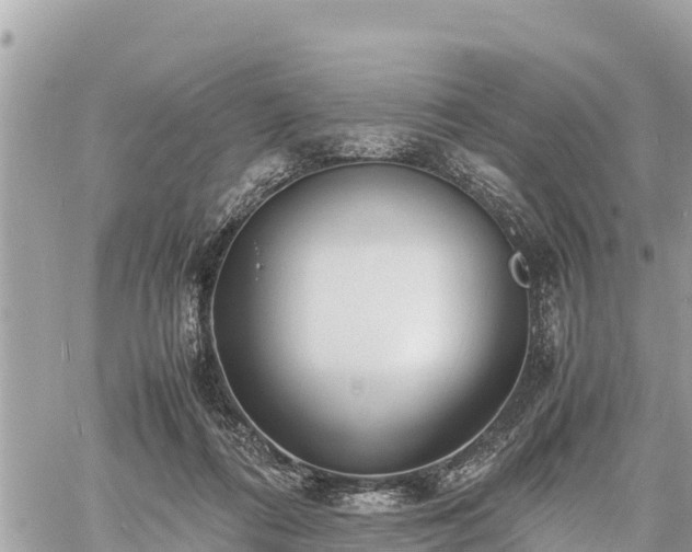 X0000060770312200511141304