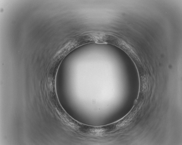 X0000060770313200511141304