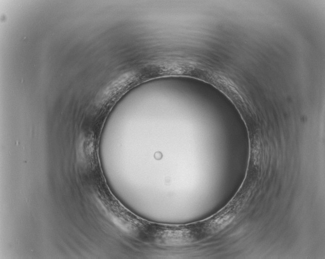 X0000060770314200511141304