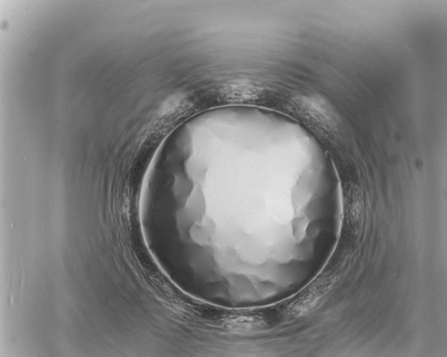 X0000060770315200511141304