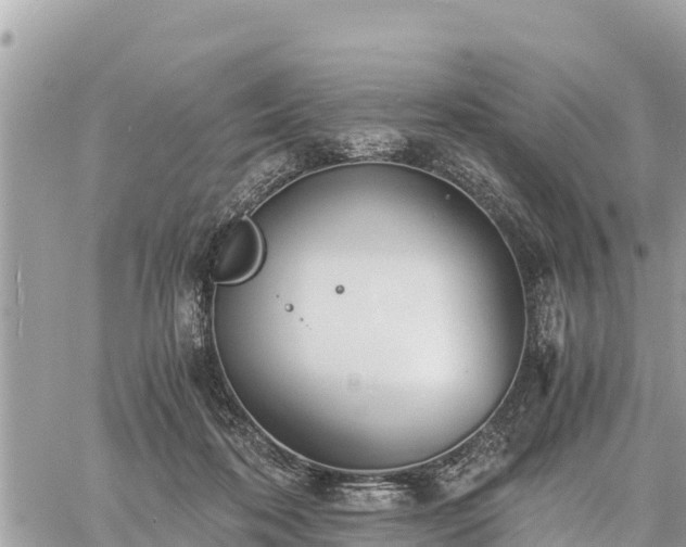 X0000060770316200511141304