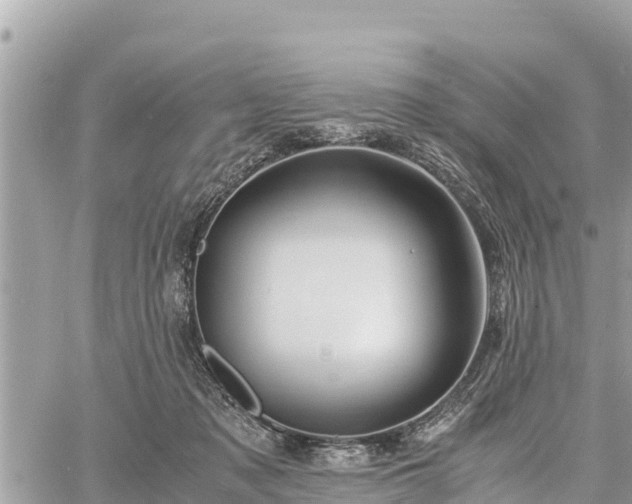 X0000060770317200511141304