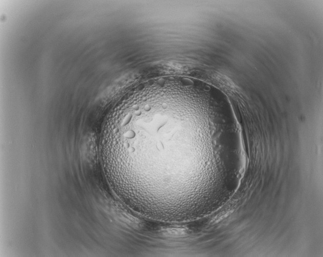 X0000060770318200511141304