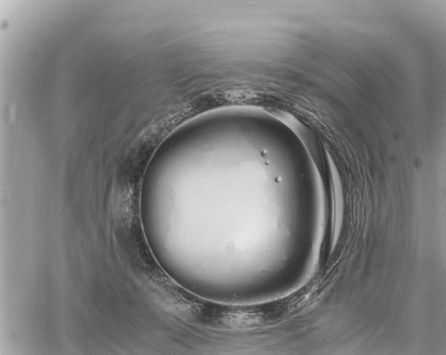 X0000060770319200511141304