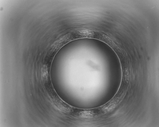 X0000060770320200511141304