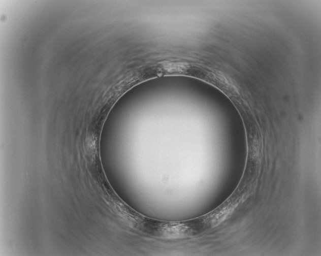 X0000060770321200511141304