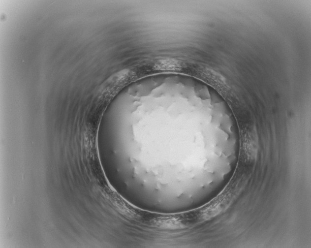 X0000060770322200511141304