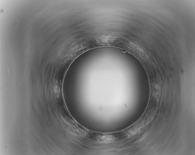 X0000060770324200511141304