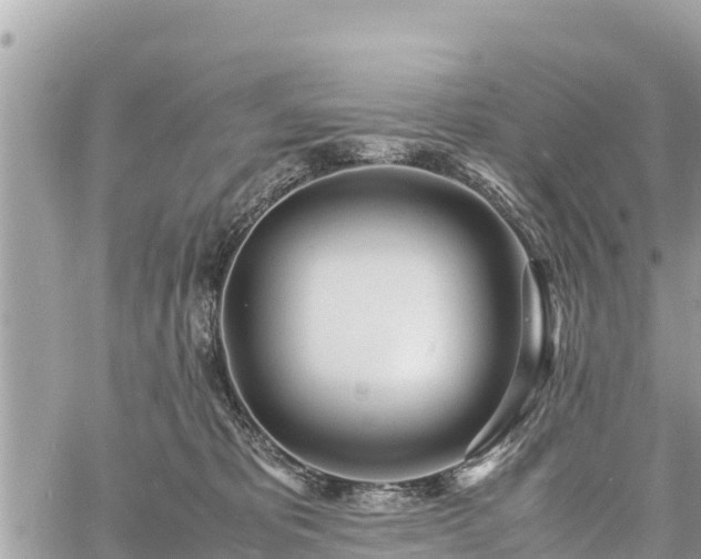 X0000060770325200511141304