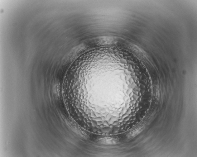 X0000060770326200511141304