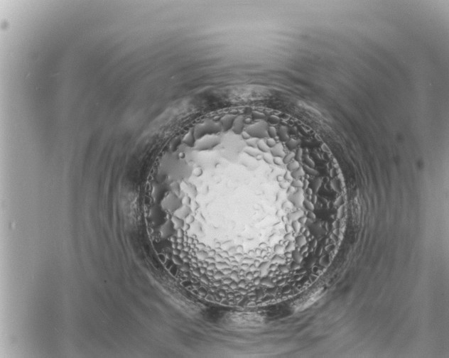 X0000060770327200511141304