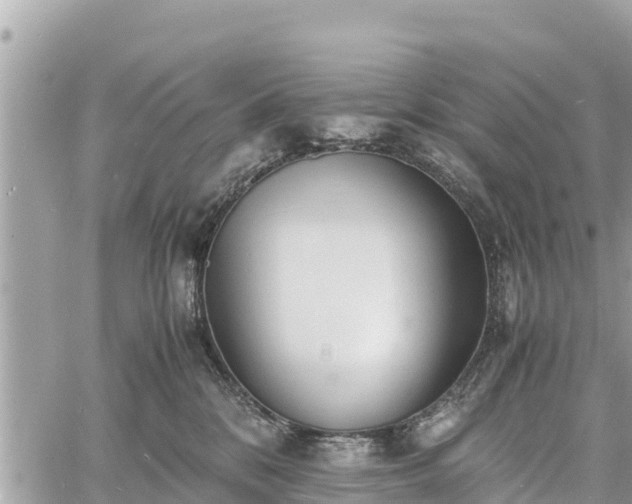 X0000060770328200511141304