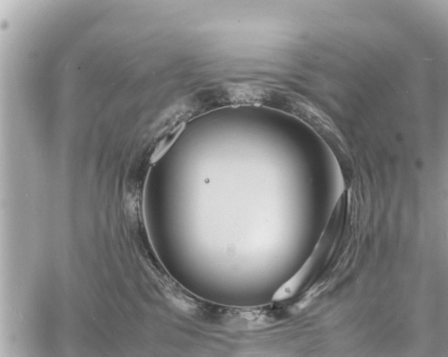 X0000060770329200511141304