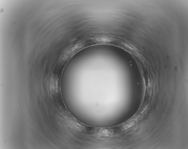 X0000060770330200511141304