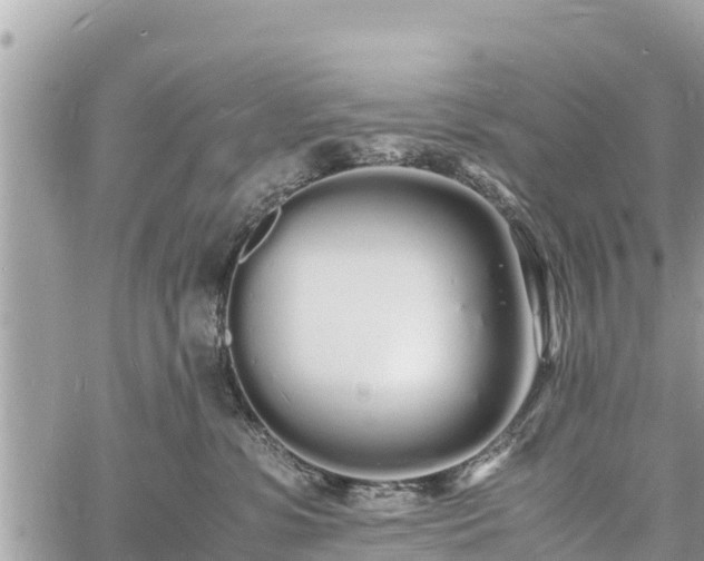 X0000060770331200511141304