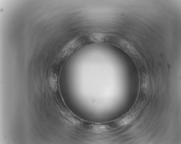 X0000060770332200511141304