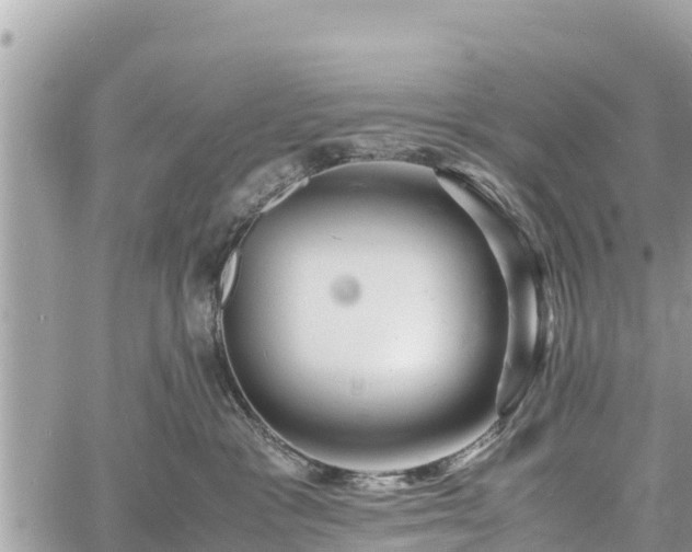 X0000060770333200511141304