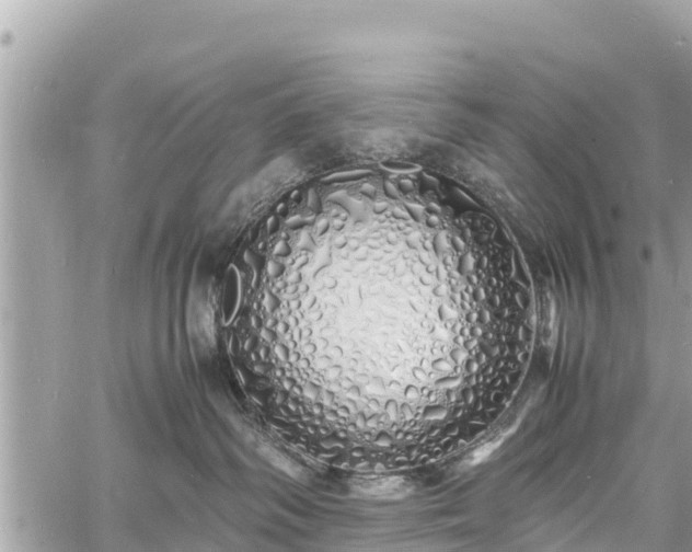 X0000060770334200511141304