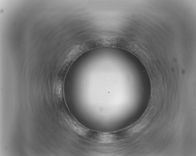 X0000060770336200511141304