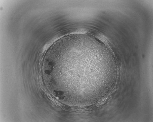 X0000060770337200511141303