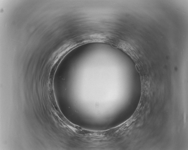 X0000060770338200511141303