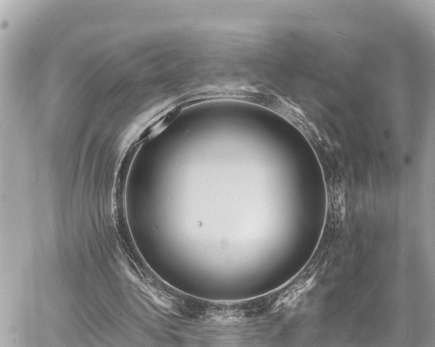 X0000060770340200511141303