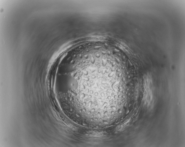 X0000060770343200511141303