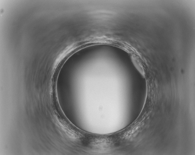 X0000060770344200511141303