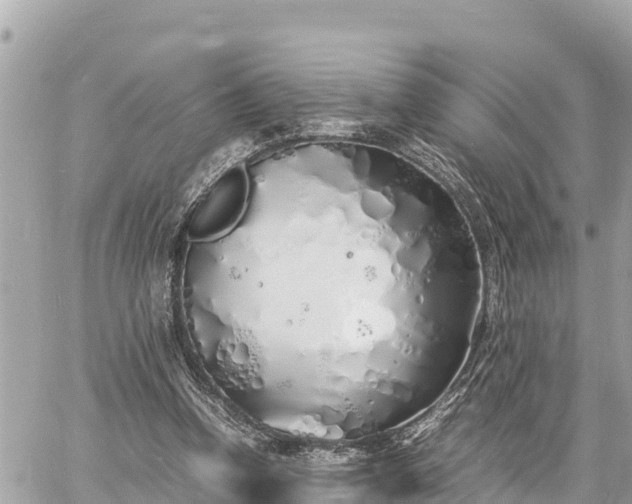 X0000060770346200511141303