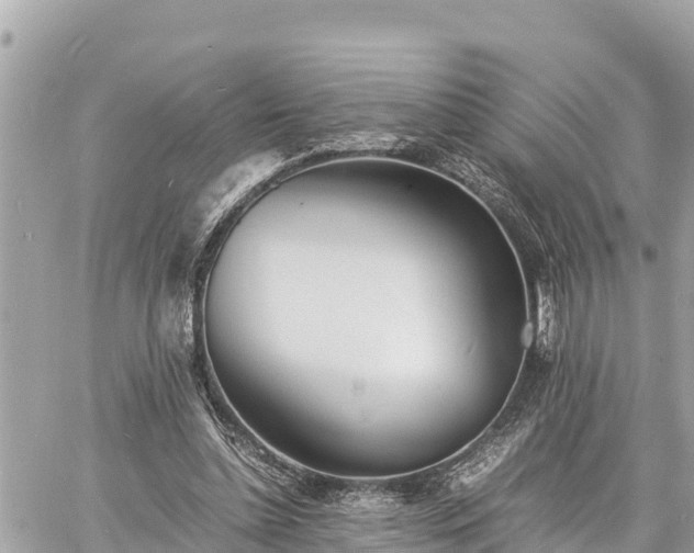 X0000060770348200511141303