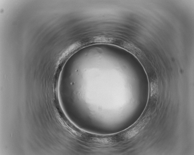 X0000060770349200511141303