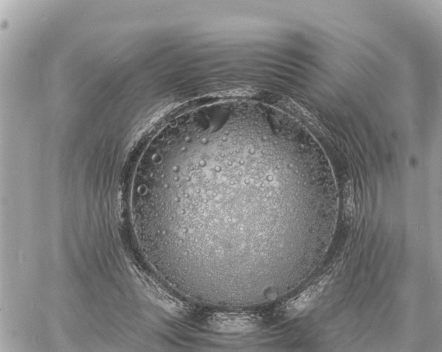 X0000060770351200511141303