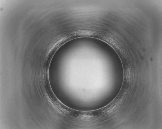 X0000060770352200511141303