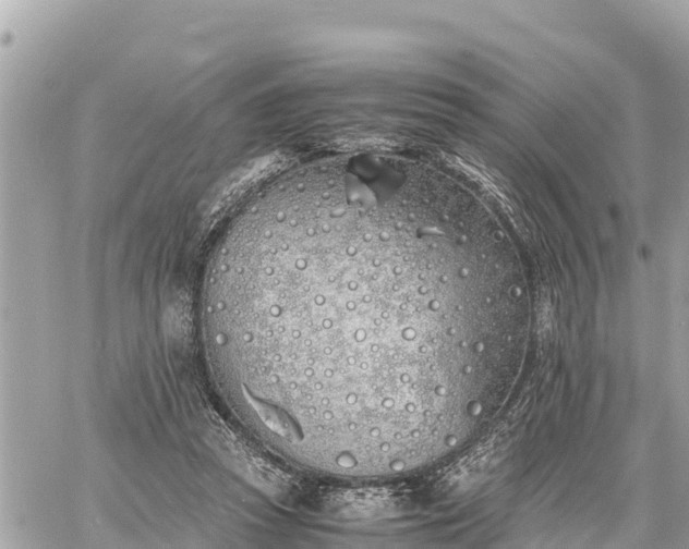 X0000060770353200511141303