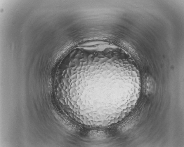 X0000060770354200511141303